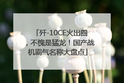 歼-10CE火出圈，不愧是猛龙！国产战机霸气名称大盘点