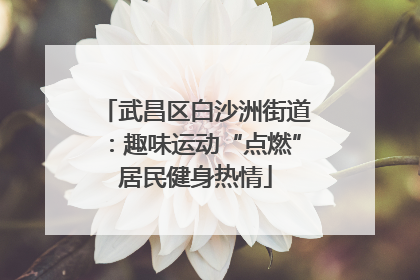 武昌区白沙洲街道：趣味运动“点燃”居民健身热情