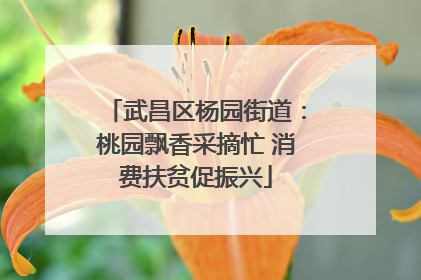 武昌区杨园街道：桃园飘香采摘忙 消费扶贫促振兴