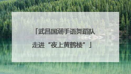 武昌国潮手语舞蹈队走进“夜上黄鹤楼”