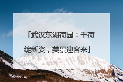 武汉东湖荷园：千荷绽新姿，美景迎客来