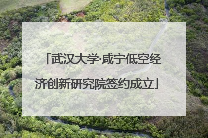 武汉大学·咸宁低空经济创新研究院签约成立