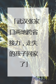 武汉张家口两地跨省接力，走失的孩子回家了