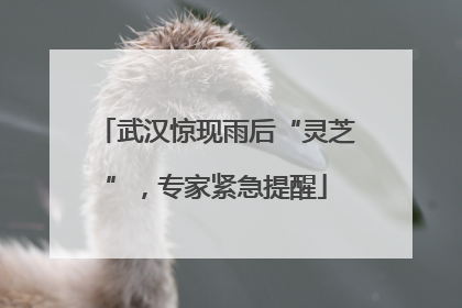 武汉惊现雨后“灵芝”，专家紧急提醒