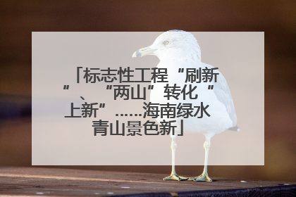标志性工程“刷新”、“两山”转化“上新”……海南绿水青山景色新