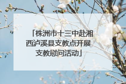 株洲市十三中赴湘西泸溪县支教点开展支教慰问活动