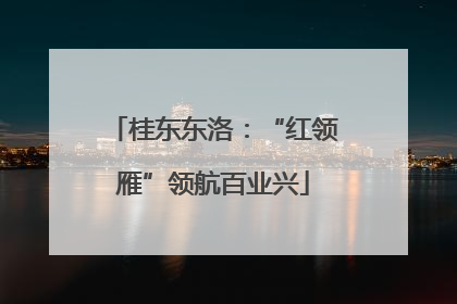 桂东东洛：“红领雁”领航百业兴
