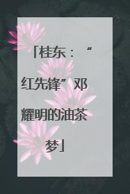 桂东：“红先锋”邓耀明的油茶梦