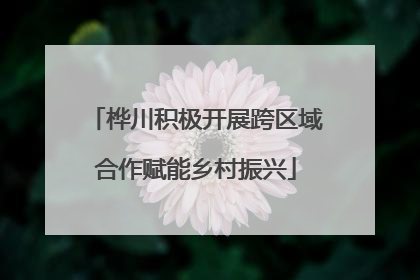 桦川积极开展跨区域合作赋能乡村振兴