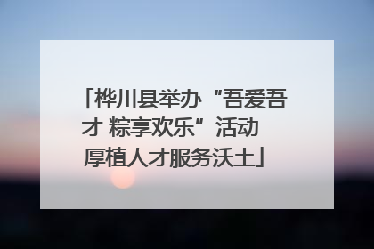 桦川县举办“吾爱吾才 粽享欢乐”活动 厚植人才服务沃土
