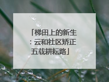 梯田上的新生：云和社区矫正五载耕耘路