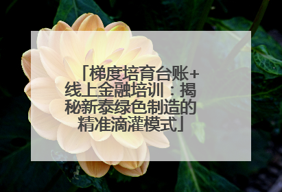 梯度培育台账+线上金融培训：揭秘新泰绿色制造的精准滴灌模式