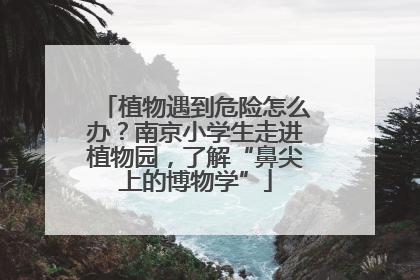 植物遇到危险怎么办？南京小学生走进植物园，了解“鼻尖上的博物学”