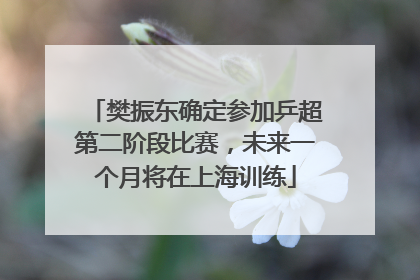 樊振东确定参加乒超第二阶段比赛，未来一个月将在上海训练