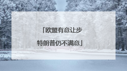 欧盟有意让步 特朗普仍不满意