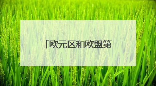 欧元区和欧盟第一季度经济增长均为0.6%
