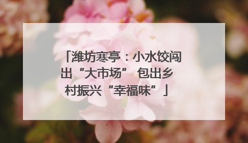 潍坊寒亭：小水饺闯出“大市场” 包出乡村振兴“幸福味”