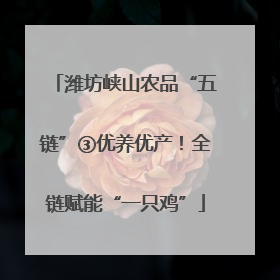 潍坊峡山农品“五链”③优养优产！全链赋能“一只鸡”