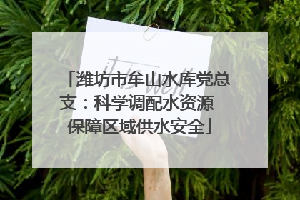 潍坊市牟山水库党总支：科学调配水资源 保障区域供水安全