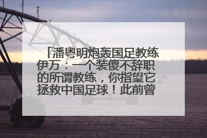 潘粤明炮轰国足教练伊万：一个装傻不辞职的所谓教练，你指望它拯救中国足球！此前曾多次发文评价国足