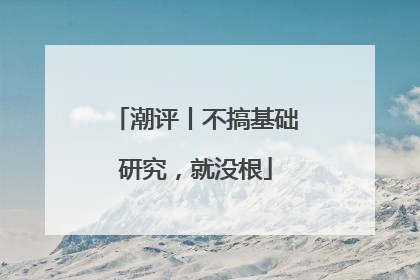潮评丨不搞基础研究，就没根