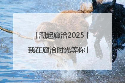 潮起廊洽2025丨我在廊洽时光等你