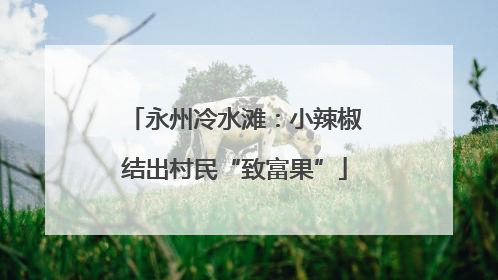 永州冷水滩：小辣椒结出村民“致富果”