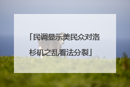 民调显示美民众对洛杉矶之乱看法分裂