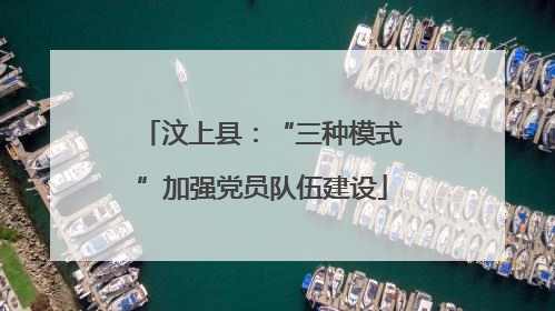 汶上县：“三种模式”加强党员队伍建设