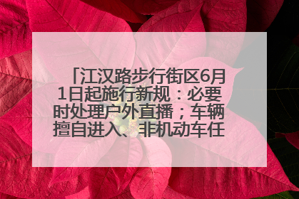 江汉路步行街区6月1日起施行新规：必要时处理户外直播；车辆擅自进入、非机动车任意停放的，依法处理