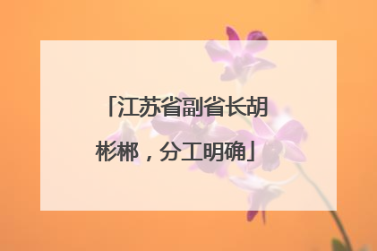 江苏省副省长胡彬郴，分工明确