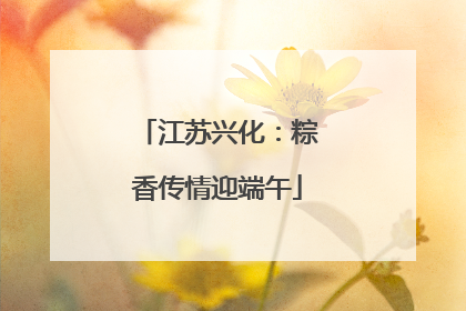 江苏兴化：粽香传情迎端午