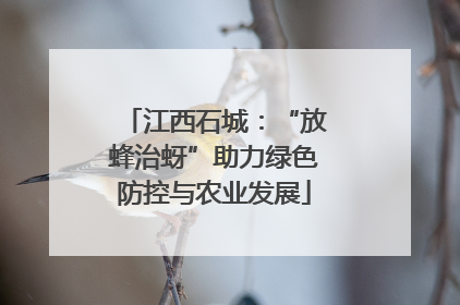 江西石城：“放蜂治蚜”助力绿色防控与农业发展