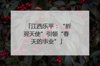 江西乐平：“折翼天使”引领“春天的事业”