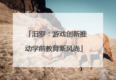 汨罗：游戏创新推动学前教育新风尚