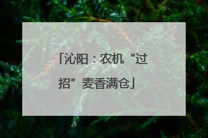 沁阳：农机“过招”麦香满仓
