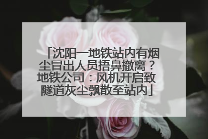沈阳一地铁站内有烟尘冒出人员捂鼻撤离？地铁公司：风机开启致隧道灰尘飘散至站内