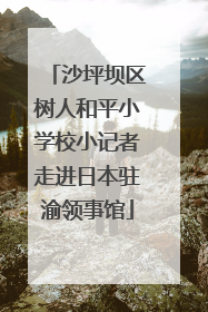 沙坪坝区树人和平小学校小记者走进日本驻渝领事馆