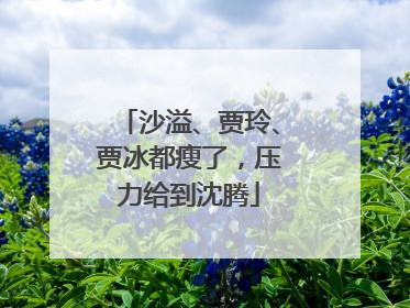沙溢、贾玲、贾冰都瘦了，压力给到沈腾