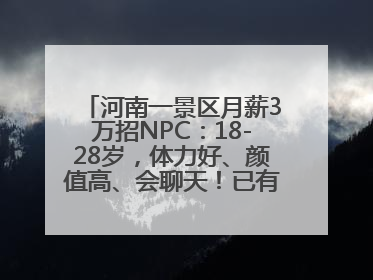 河南一景区月薪3万招NPC：18-28岁，体力好、颜值高、会聊天！已有1000多人应聘