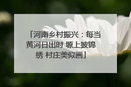 河南乡村振兴：每当黄河日出时 塬上披锦绣 村庄美似画