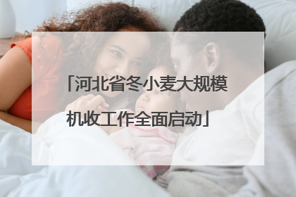河北省冬小麦大规模机收工作全面启动