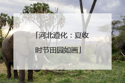 河北遵化：夏收时节田园如画