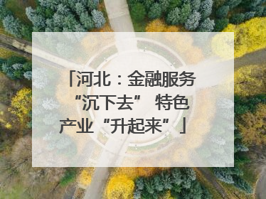 河北：金融服务“沉下去” 特色产业“升起来”