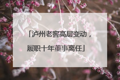 泸州老窖高层变动，履职十年董事离任