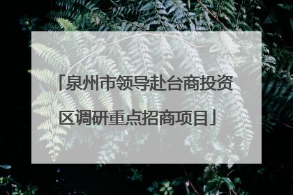 泉州市领导赴台商投资区调研重点招商项目