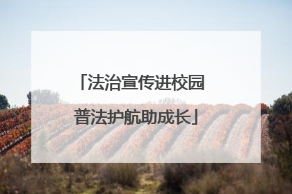 法治宣传进校园 普法护航助成长