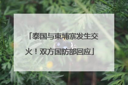泰国与柬埔寨发生交火！双方国防部回应