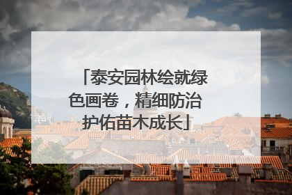 泰安园林绘就绿色画卷，精细防治护佑苗木成长