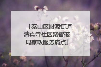 泰山区财源街道清真寺社区聚智破局家政服务痛点